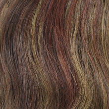 04/06/08/33 - Dunkelstes Braun gemischt mit mittlerem und hellem Kastanienbraun und dunklem Rotbraun