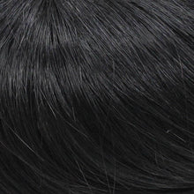 313C H Add-on, 2 clips par WIGPRO : Human Hair Piece