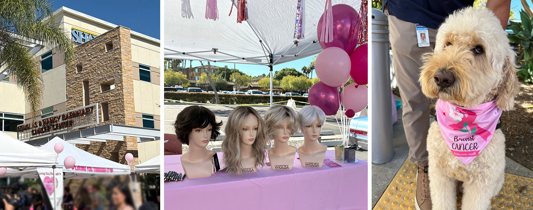 WIGUSA Joins Sharp Hospital’s Annual “Goes Pink” Event to Honor Cancer Survivors