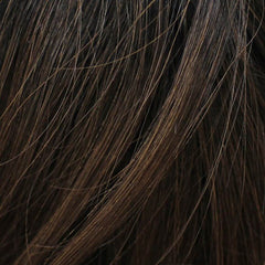 2-1 - Root 1B/04  - Off Black root, the rest is Dark Brown
