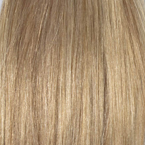 10/16 - Medium Golden Brown blended w/ Dark Ash Blonde