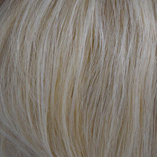 313C H Add-on, 2 clips by WIGPRO: Human Hair Piece